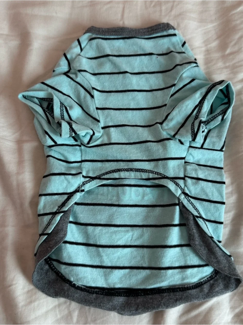 Dog Light Blue Striped 'Here Comes Trouble' T-Shirt Size Small